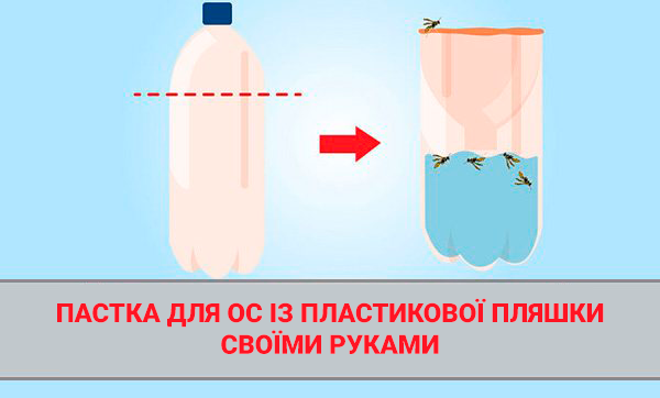 Ловушка для мух и мошек: как сделать своими руками приманку для вредителей